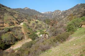 California2015_Les_023