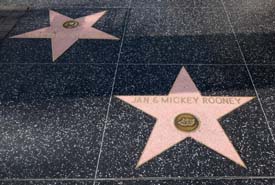 California2015_Les_025