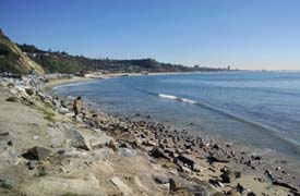 California2015_Les_039