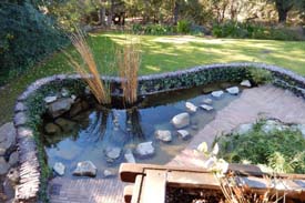 California2015_Les_073